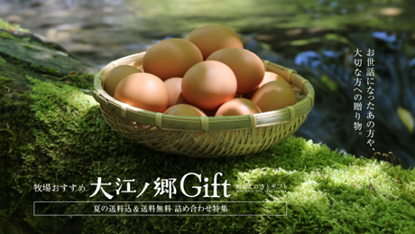 夏の送料込＆送料無料 詰め合わせ特集