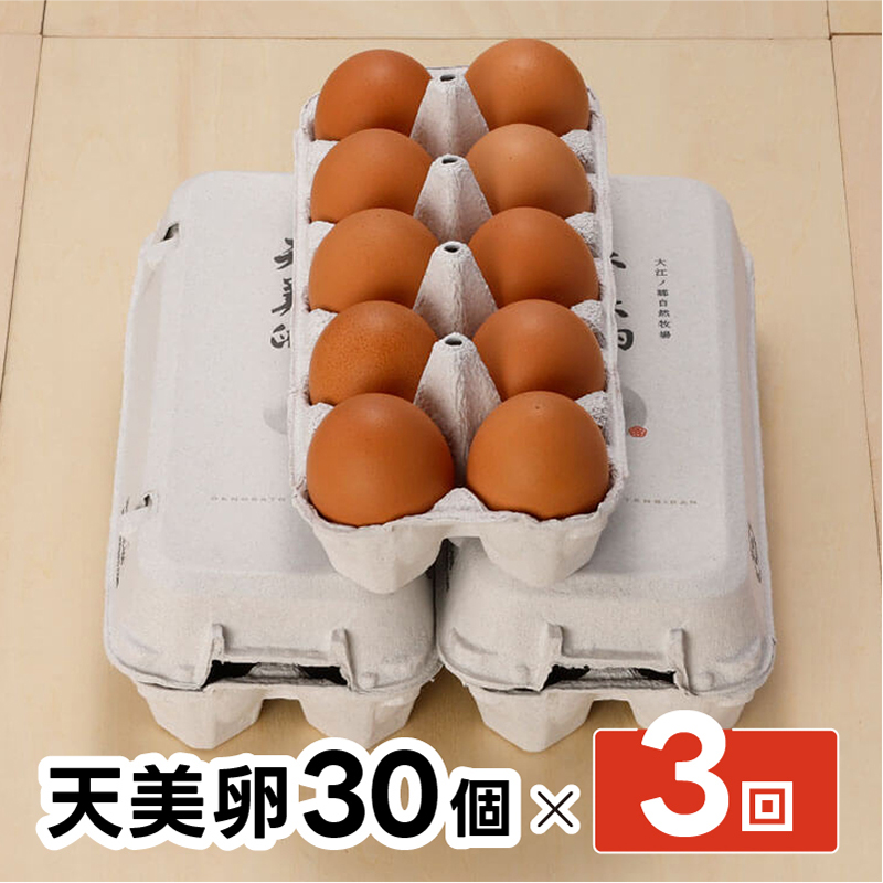 【大江ノ郷自然牧場ふるさと納税】【3か月定期便】天美卵30個