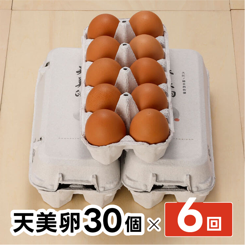 【大江ノ郷自然牧場ふるさと納税】【6か月定期便】天美卵30個