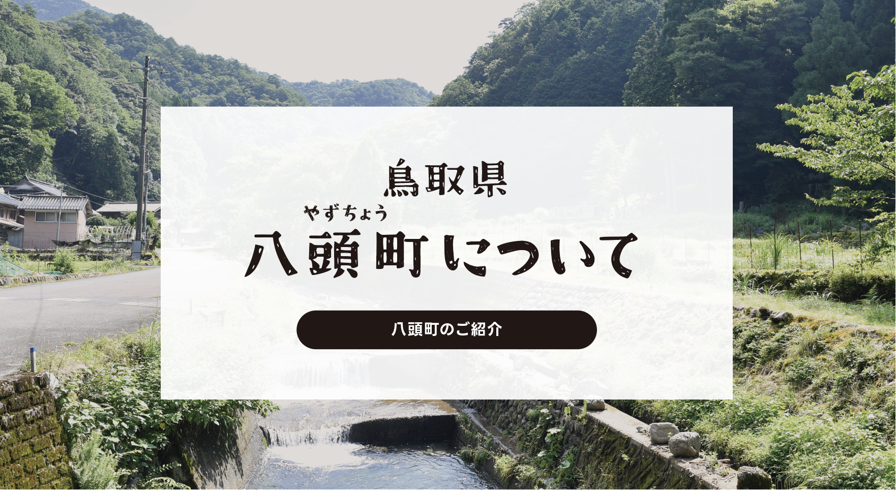 牧場ぷりん特集