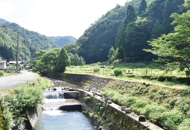 【大江ノ郷自然牧場ふるさと納税】八頭町の風景