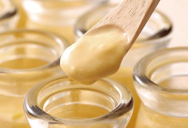 ナチュラぷりん【大江ノ郷自然牧場】