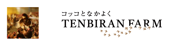 牧場詰め合わせギフト・郷のたまごかけ御膳【最高級ギフト】天美