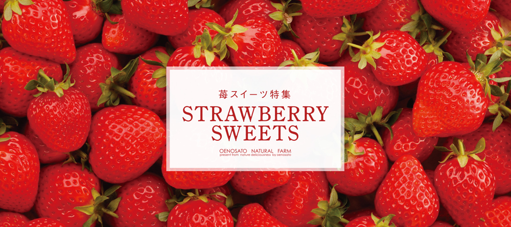 シエルクラフトチョコレートトットリ