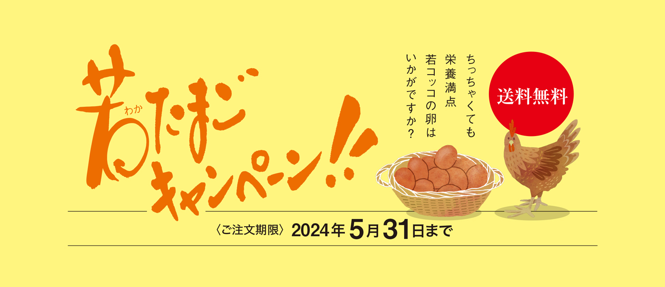 お菓子とパンのカタログ【cocotteココット】大江ノ郷自然牧場のショコラフェア
