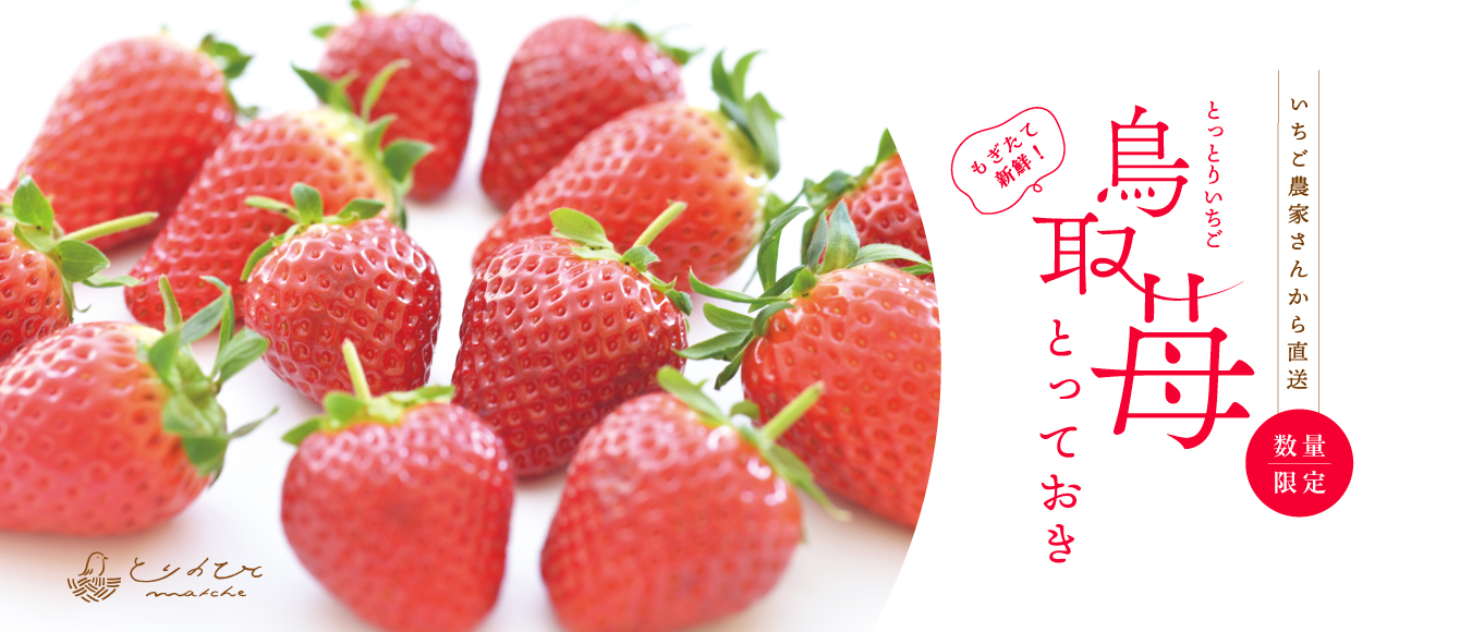 バレンタインギフト特集