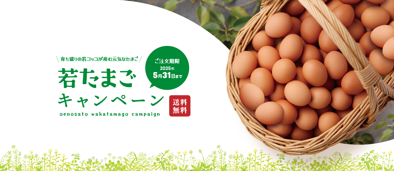 若たまご50個【送料無料】キャンペーン