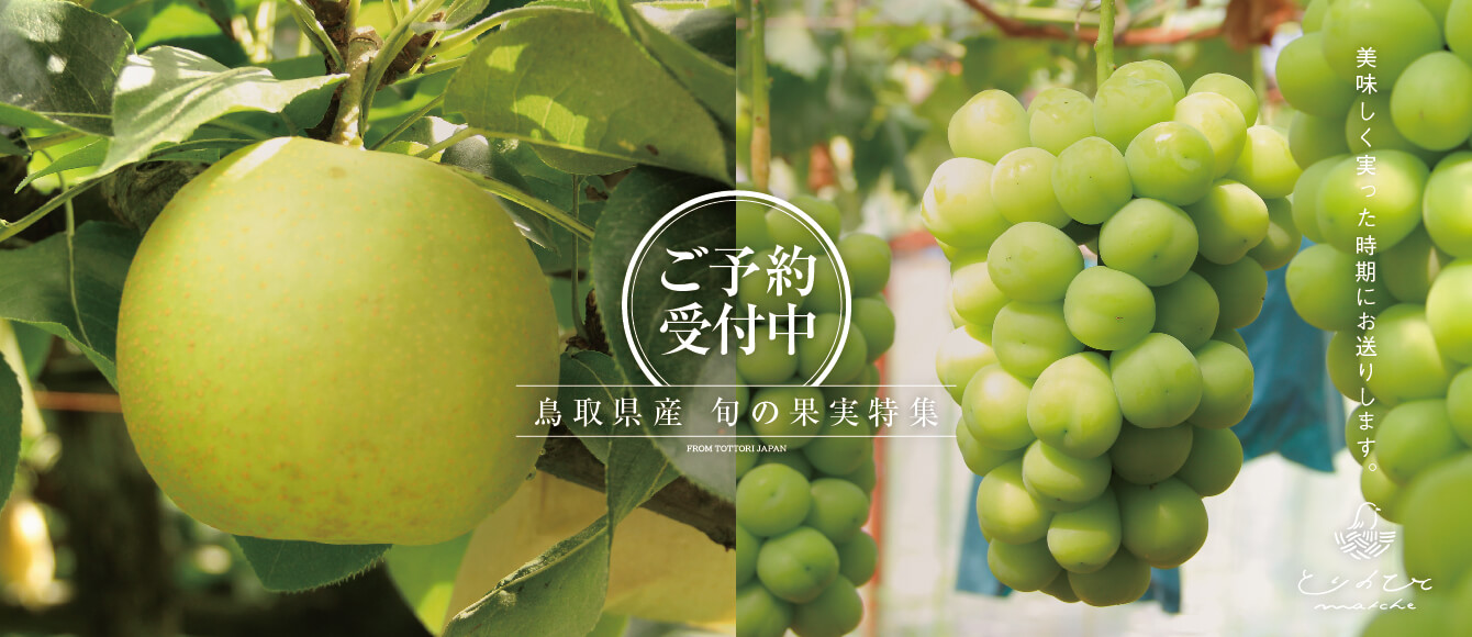 早期ご予約受付中！鳥取県産の「完熟シャインマスカット」「二十世紀梨（にじっせいきなし）」