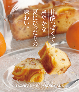 天美卵で作る、心と身体にやさしいマヨネーズ