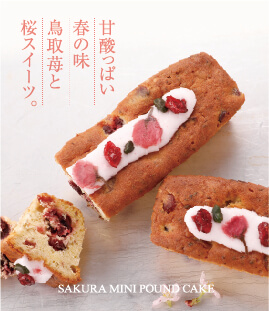 蟹と真鱈のごちそうグラタン