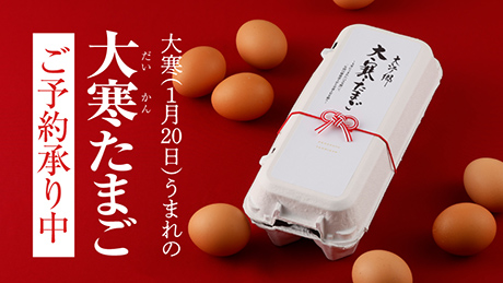 2026年1月20日の大寒の日に産まれた縁起の良い天美卵