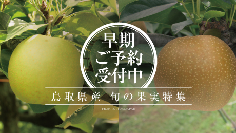 早期ご予約受付中！鳥取県産の梨「新甘泉（しんかんせん）」「二十世紀梨（にじっせいきなし）」