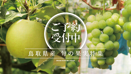 早期ご予約受付中！鳥取県産の梨「新甘泉（しんかんせん）」「二十世紀梨（にじっせいきなし）」