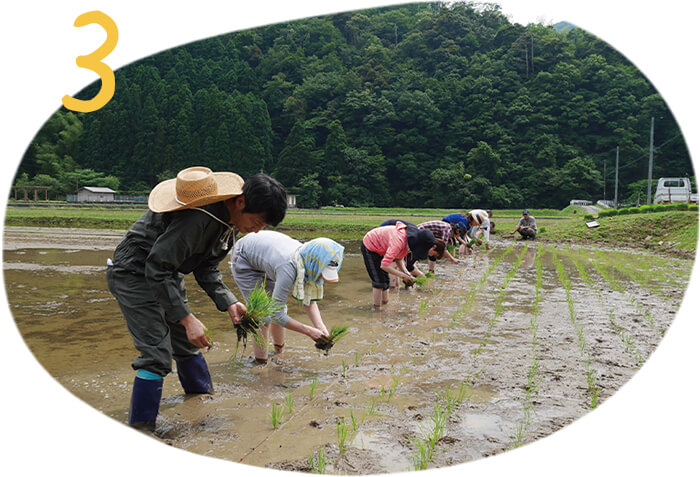 持続可能な取り組み