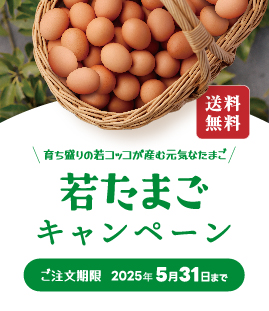 若たまごキャンペーン