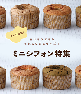 ミニシフォン特集