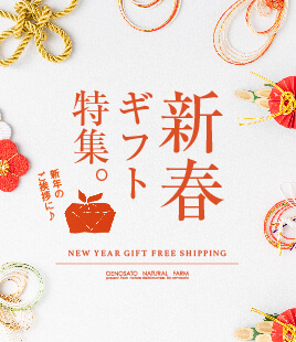 感謝の気持ちを伝える！新春ギフト送料込＆送料無料特集