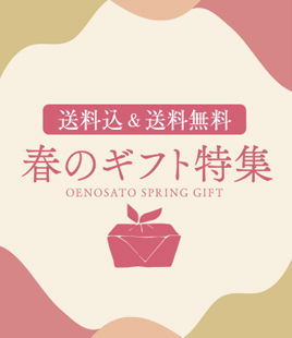 感謝の気持ちを伝える！新春ギフト送料込＆送料無料特集