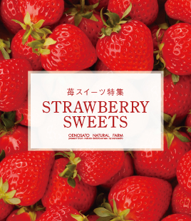 毎年人気の苺スイーツが登場！【苺スイーツ特集】