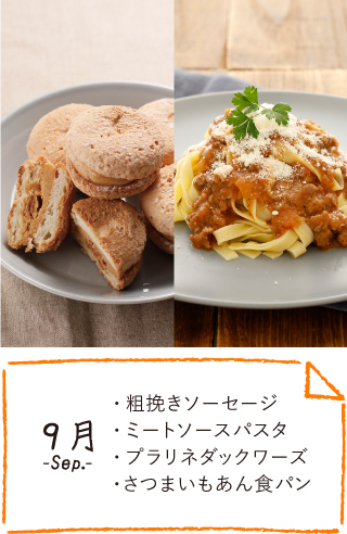 9月のお届け内容