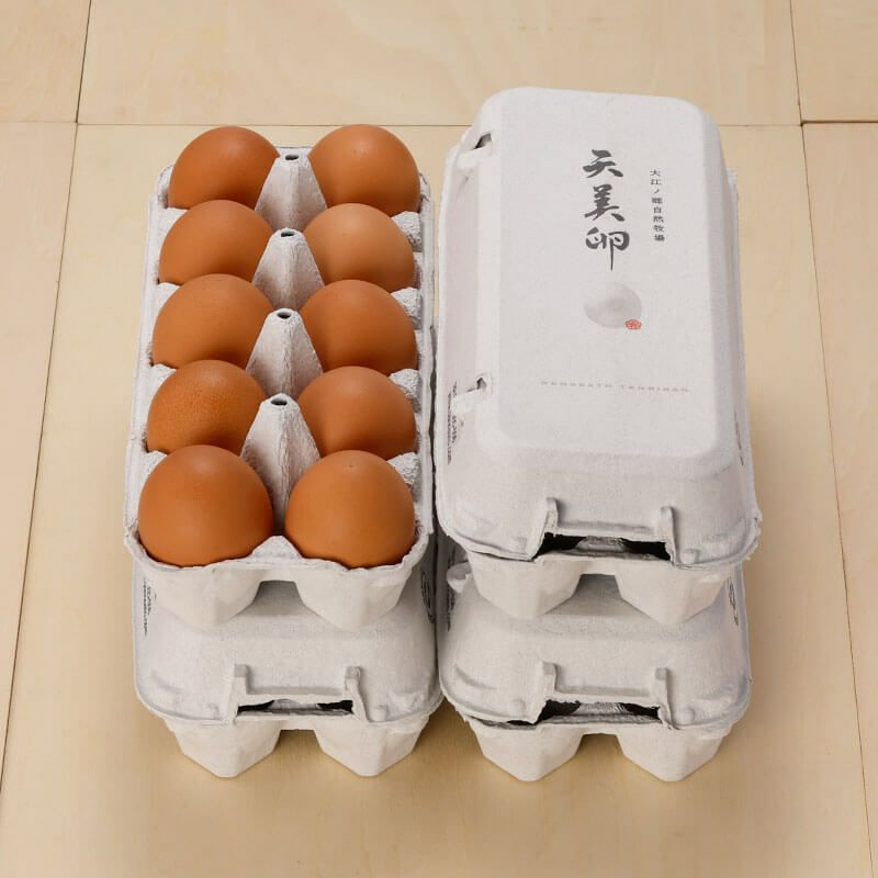 【朝採れ平飼い卵】天美卵エコパック詰め40個牧場直送・送料無料
