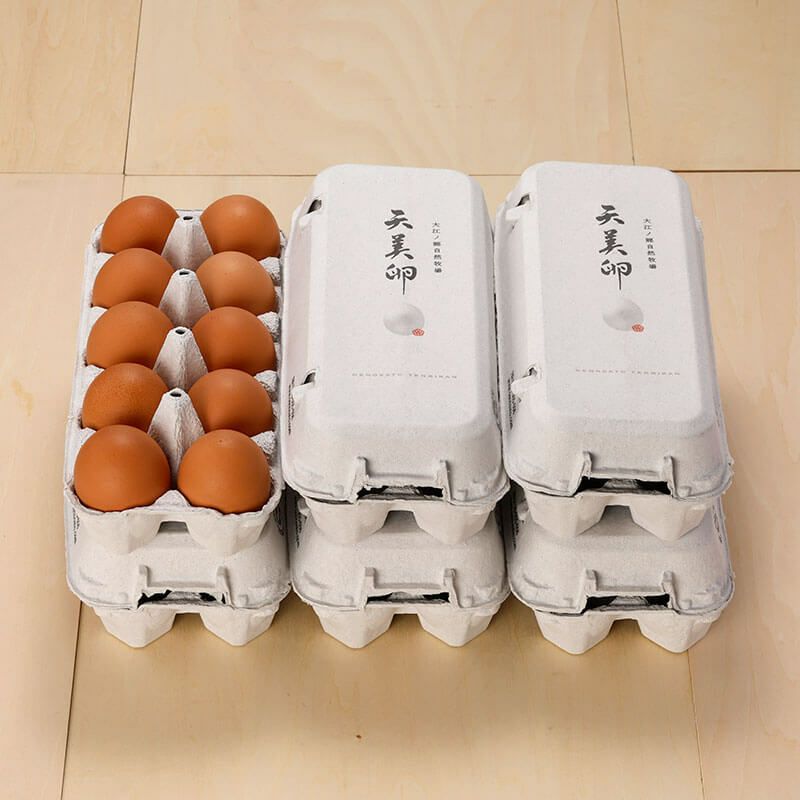 朝採れ平飼い卵】天美卵エコパック詰め60個牧場直送・送料無料 卵かけ