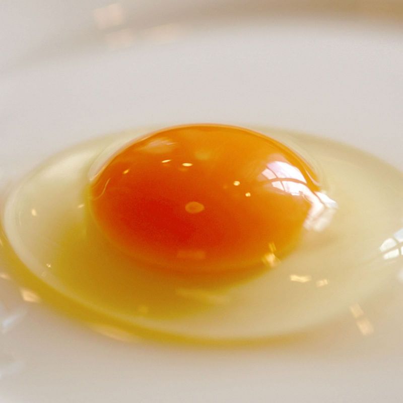 朝採れ平飼い卵】天美卵エコパック詰め60個牧場直送・送料無料 卵かけ