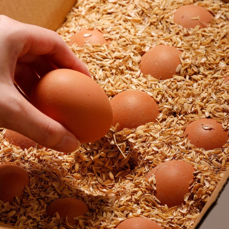 贈答品 高級卵】 朝採れ平飼い卵 天美卵もみがら詰め60個 高級ギフト 