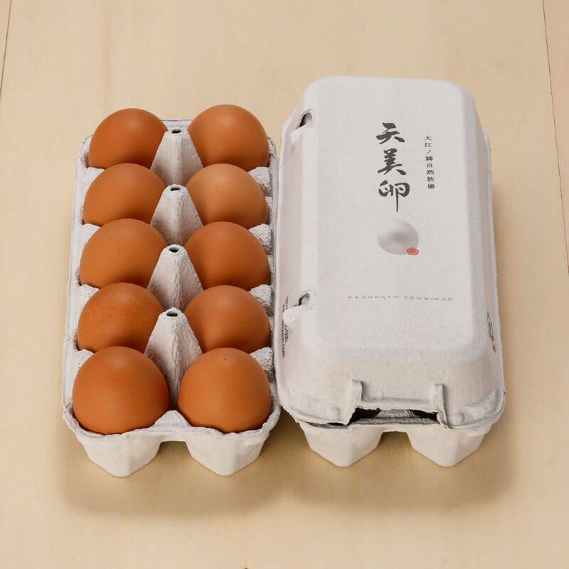 天美卵エコパック詰め20個(定期購入商品)