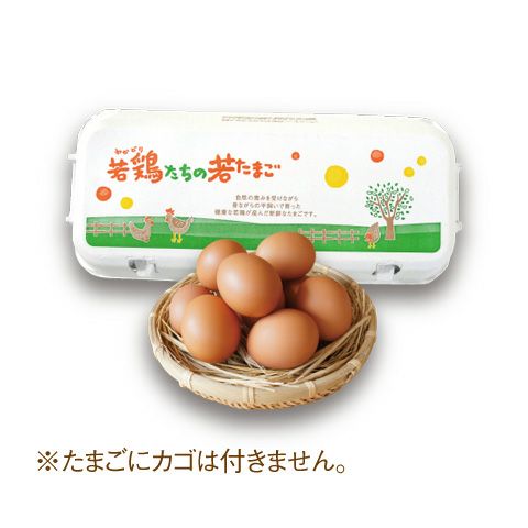 朝採れ平飼い卵】若たまご10個 採卵当日牧場直送 若鶏のたまご 卵かけご飯人気 通販＆ 取り寄せ