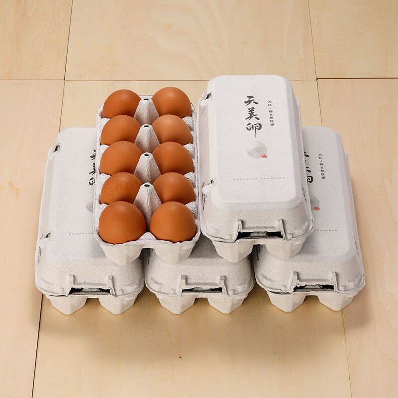 【朝採れ平飼い卵】天美卵エコパック詰め50個牧場直送・送料無料