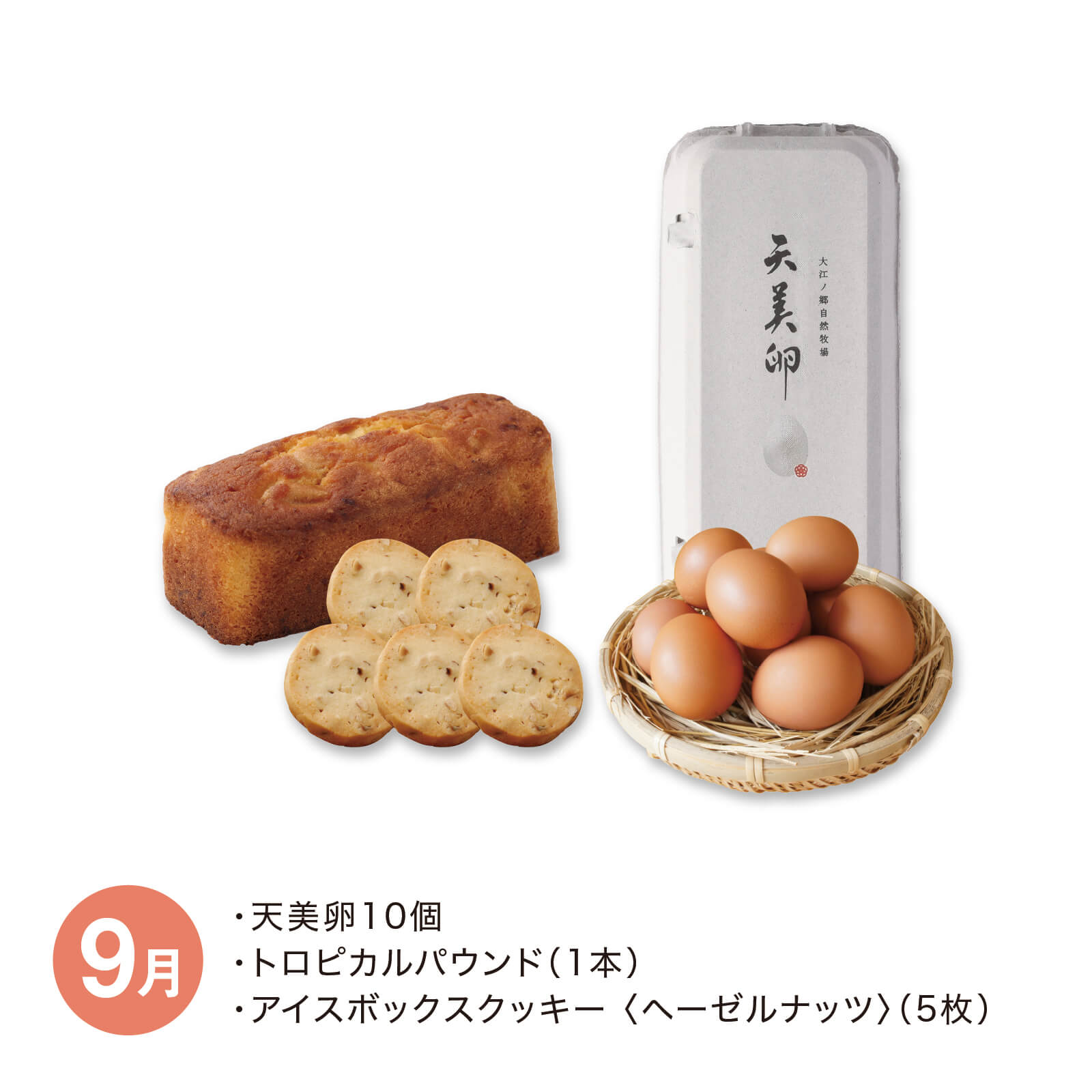 天美卵と牧場スイーツの会_2026年3月