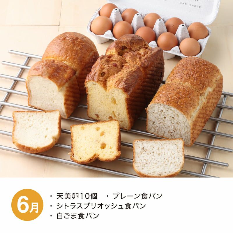 食パン食べ比べ頒布会_2026年6月