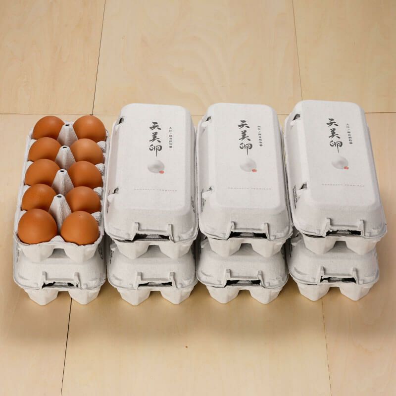 朝採れ平飼い卵】天美卵エコパック詰め80個牧場直送・送料無料 卵かけ