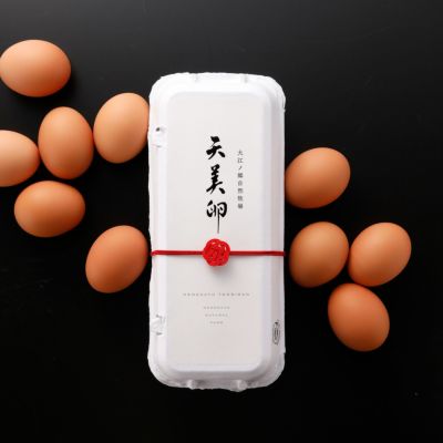 朝採れ平飼い卵】天美卵エコパック詰め10個牧場直送 国産飼料 朝採れ平飼い卵】天美卵エコパック詰め10個牧場直送 国産飼料