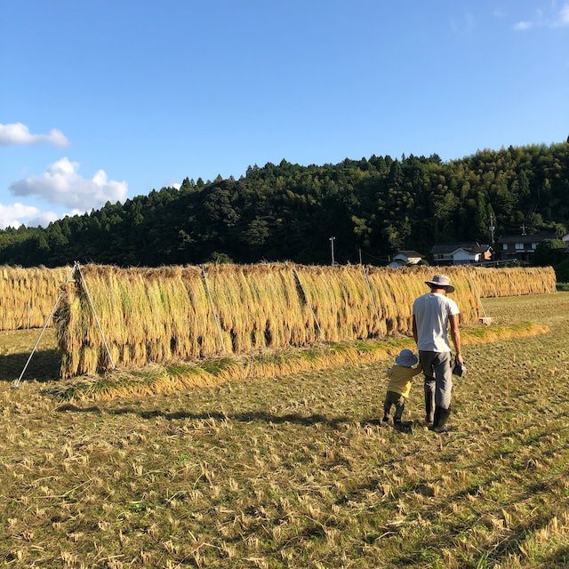 杵つき丸餅 玄米餅 4袋セット