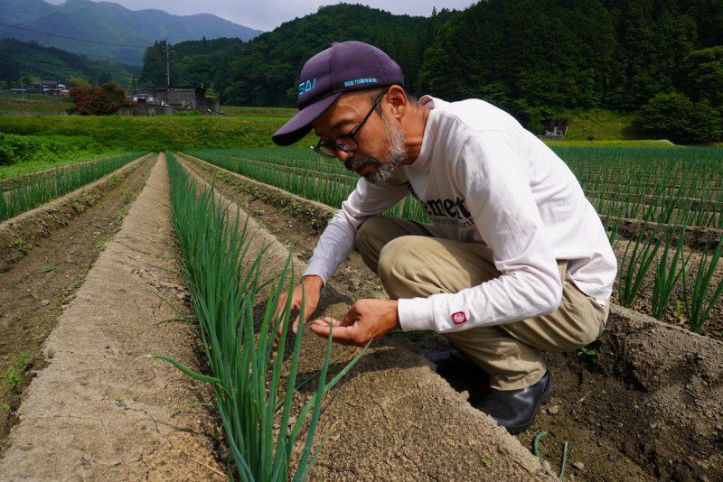 やまぐちくんの〈旬〉お野菜ボックス