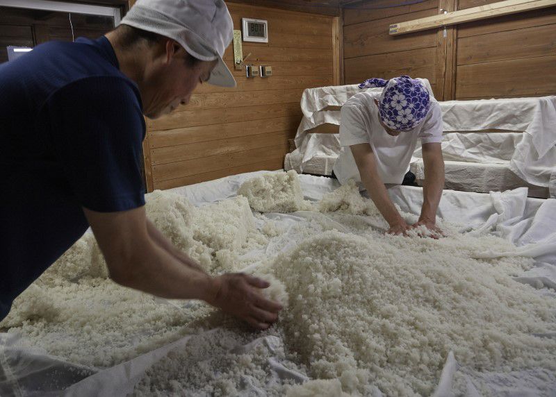 鳥取酒蔵めぐり　～純米・吟醸・大吟醸3酒飲み比べセット～