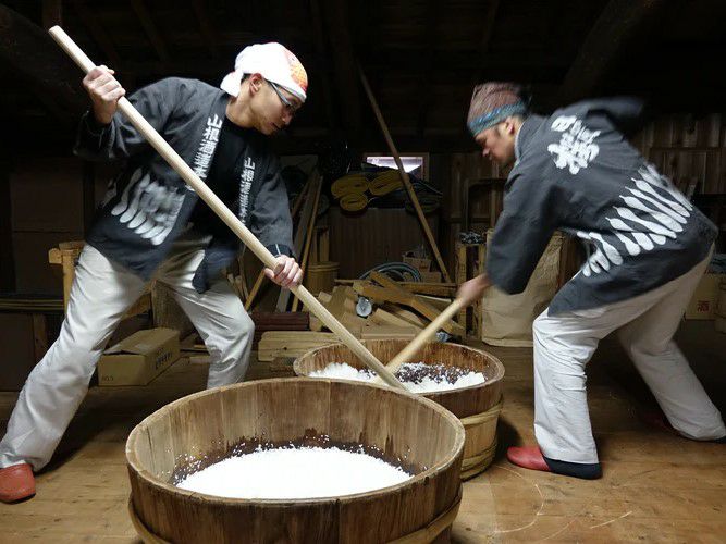 日置桜　純米セット