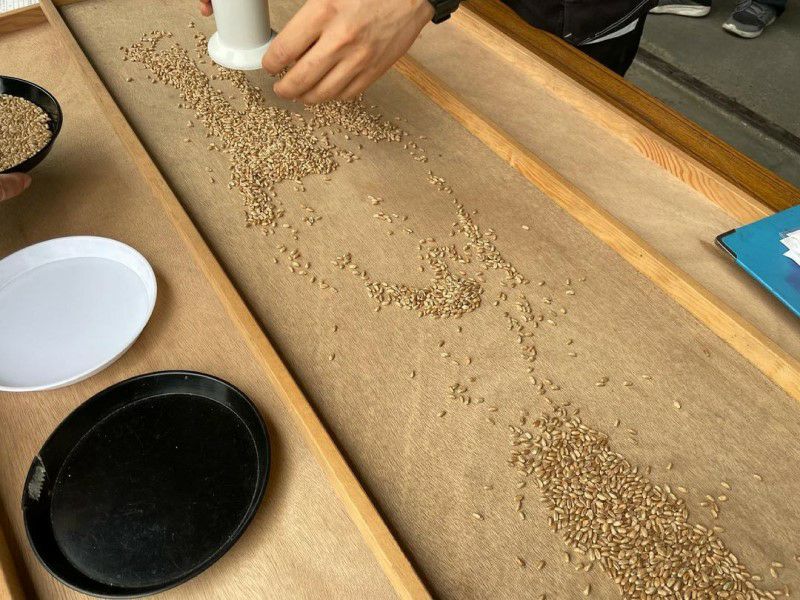 鳥取県産大山こむぎ パン用強力粉 1kg