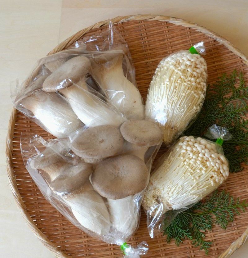 因州中井窯 三色 8寸皿 | 大江ノ郷自然牧場