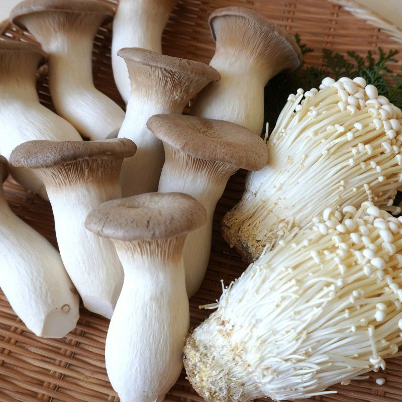 木の子詰め合わせセット | 大江ノ郷自然牧場