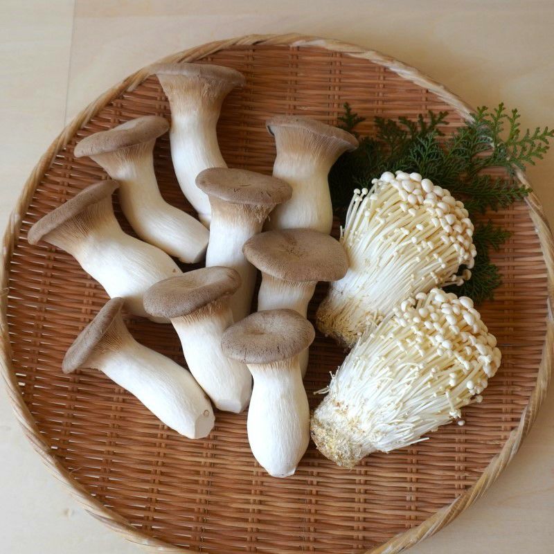 木の子詰め合わせセット | 大江ノ郷自然牧場