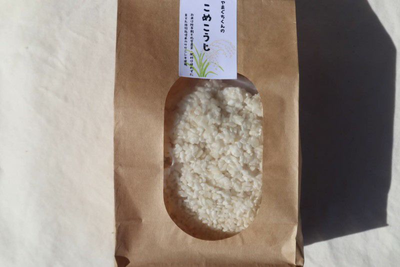 やまぐちくんの米糀（こめこうじ）500g×2個（1キロ）