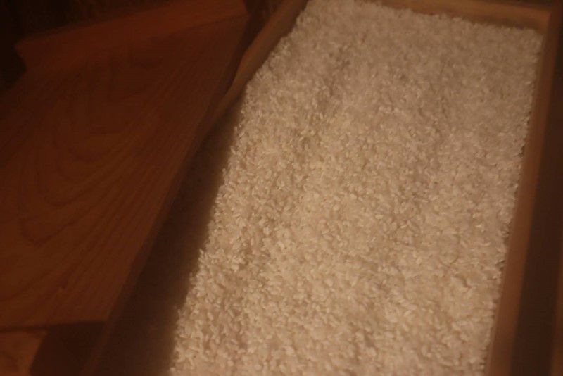 やまぐちくんの米糀（こめこうじ）500g×2個（1キロ）