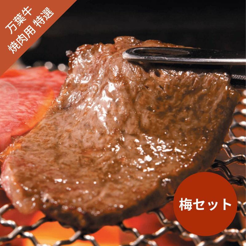 万葉牛　焼肉用（特選）　梅セット（肩ロース250g・上カルビ250g）