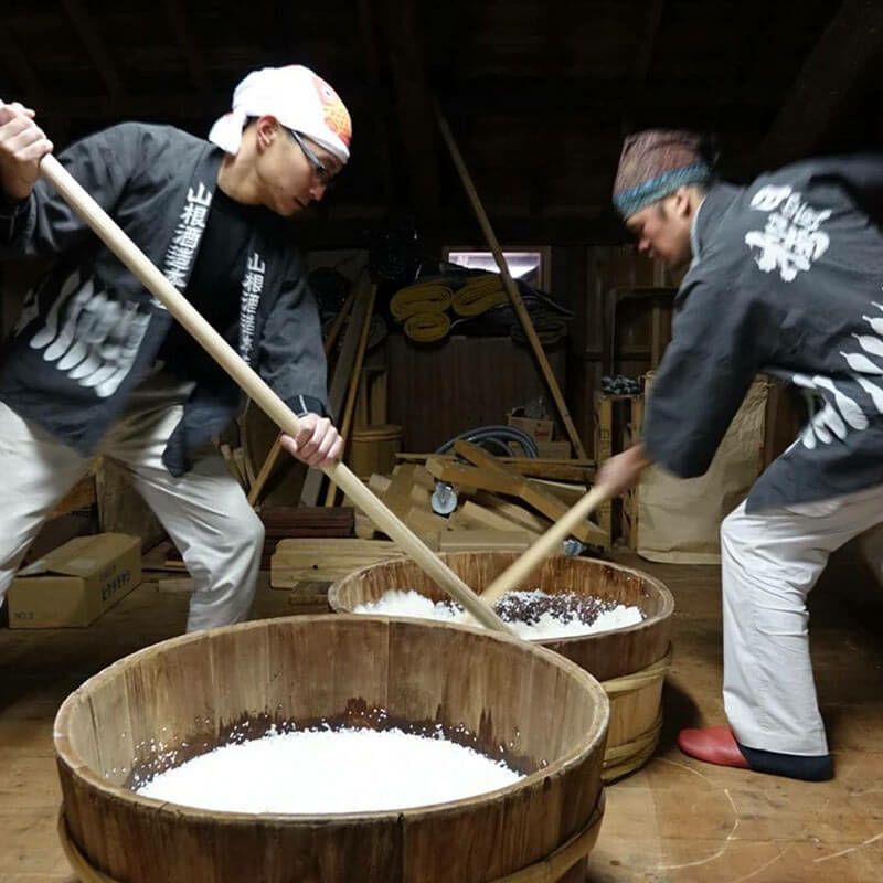 日本酒飲み比べ５本セット