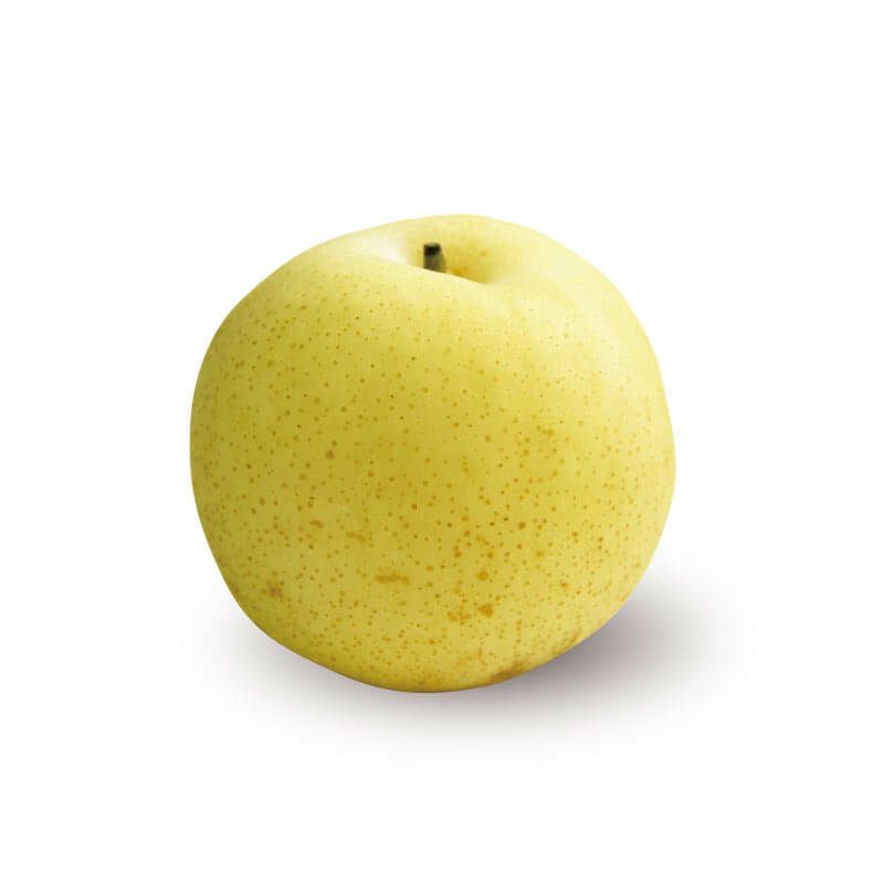  二十世紀梨　有袋kg