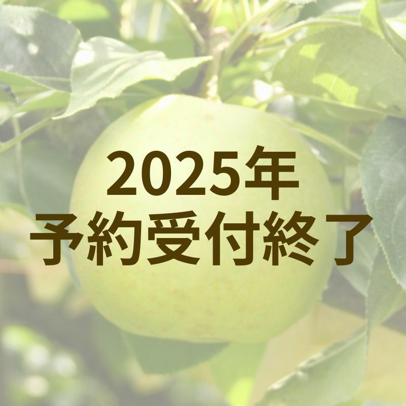  二十世紀梨　有袋3kg