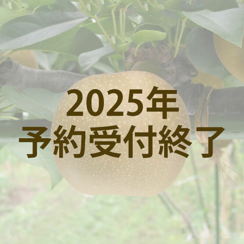 新甘泉　2kg